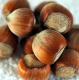 How To Make Hazelnut Oil