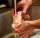 Washing Raw Chicken Increases Risk Of Food Poisoning