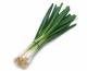 How To Grow Bunching Onions