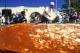 Largest Enchilada Of The World