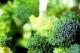 Top 5 Vegetarian Kosher Foods To Serve At A Hanukkah Party