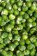 Brussel Sprouts Recipe Ideas For Kids