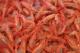 Tips On Choosing The Best In Seafood 