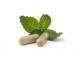 What Are The Natural Supplements For Menopause