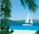 Caribbean Food Festivals