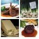 Welsh Food Festivals