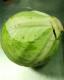Cabbage For Weight Loss 