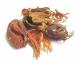Mace Powder-Usage & Health Benefits
