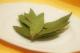Bay Leaf Powder - Usage & Health Benefits