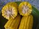 Top 10 Chromium Rich Foods For Children