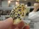 Tips To Make Homemade Crackers