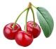 Top 10 Cherry Quotes
