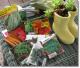 Finding the Joy of Growing Your Own Food