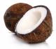 Top 5 Coconut Quotes
