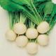 Tips To Steam Turnips