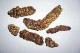 World's Nastiest Delicacies!