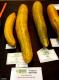 World Record: Giant Vegetables