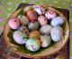 Finshing Leftover Easter Food!