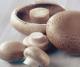 How To Grow Mushrooms At Home! 