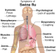 Swine Flu: Food, Safety and Prevention