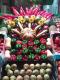 How To Prolong The Life Of Fruits & Vegetables Stored In The Refrigerator