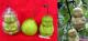 Spiritual Fruit - The Buddha Pear…!!
