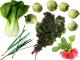 10 Vegetables You Can Grow In Shade:-let Not A Half-sun Cast A Gloom On Your Garden