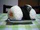 Tips To Make Rice Balls For A Perfect Dinner Party
