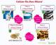 How To Add The Calcium Advantage To Your Diet?