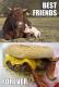 Can You Make Beef From Pork