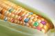 GMO Or Not - Your Smartphone Will Know