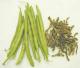How To Dehydrate Green Beans