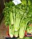 How To Eat Celery