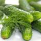 How To Store Cucumbers