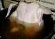 How To Brine A Chicken