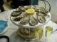 How To Eat Oysters From Their Shell