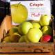 Benefits Of Apple Enzyme