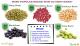 Top 5 Beans - Pick The Most Nutritious