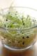 How To Store Sprouts?