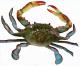 How To Store Blue Crabs	