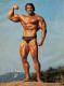 The Original He Man Arnold Schwarzeneggers King-size Diet Plan