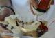 The Classic Banana Split Festival In Ohio 