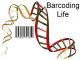 DNA Barcoding App - Eating Healthy Made Easier 