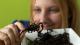 Bugs That You Eat Daily