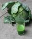 How Do You Make Cabbage Juice At Home