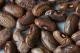 How To Cook Dry Beans