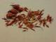 Herbal Remedies For Atopic Dermatitis