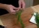 How To Clean And Chop Fresh Dill 