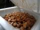 How To Eat Natto?