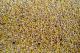 Health Benefits Of Quinoa